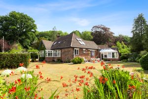 Photo 6- click for photo gallery